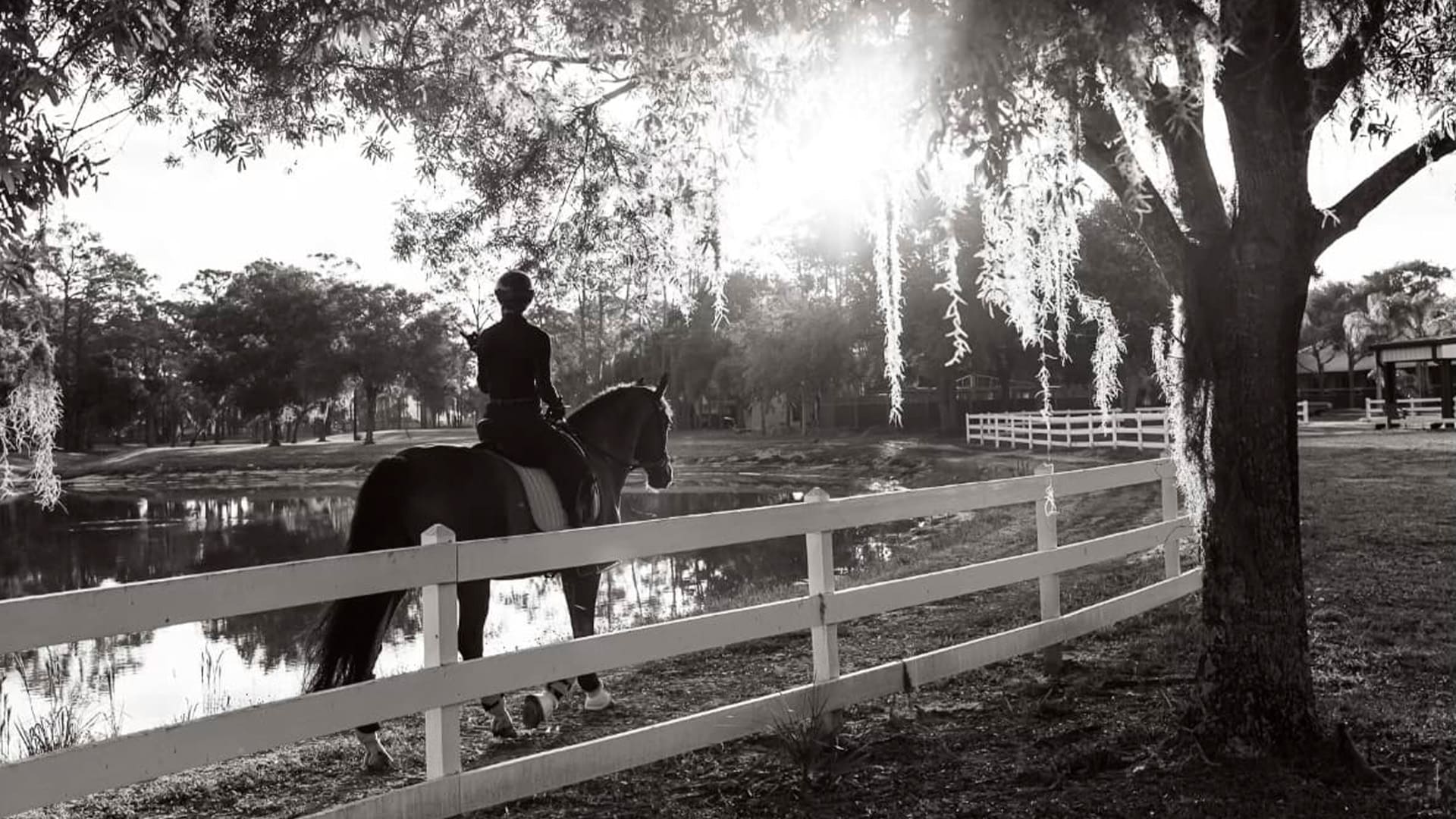 Tyrance Orthopedics Equestrian Walking Equestrian sports medicine and rider health