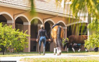 Equestrian sports medicine and rider health