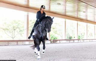 Equestrian sports medicine and rider health