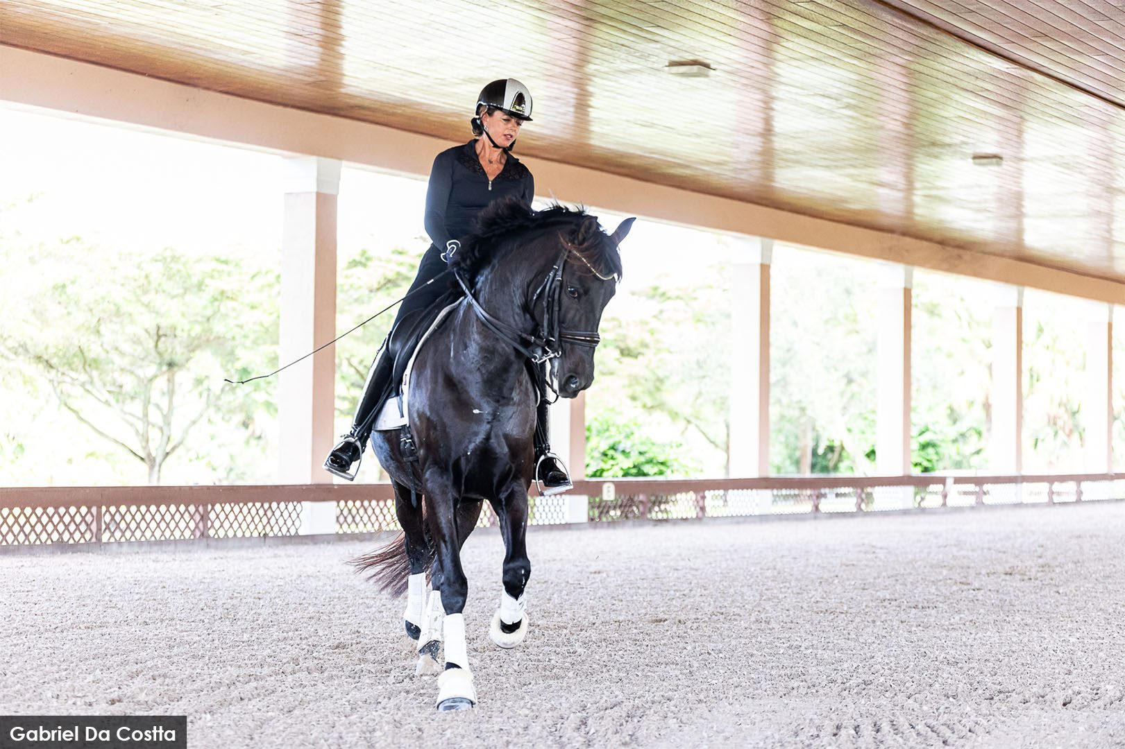 Equestrian sports medicine and rider health