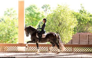 Equestrian sports medicine and rider health