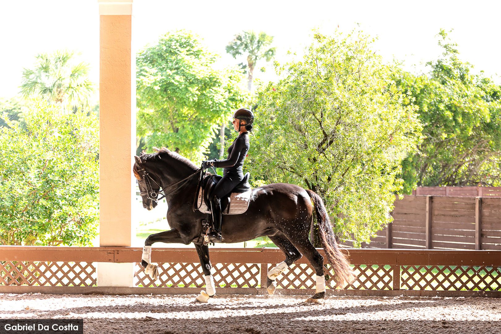 Equestrian sports medicine and rider health